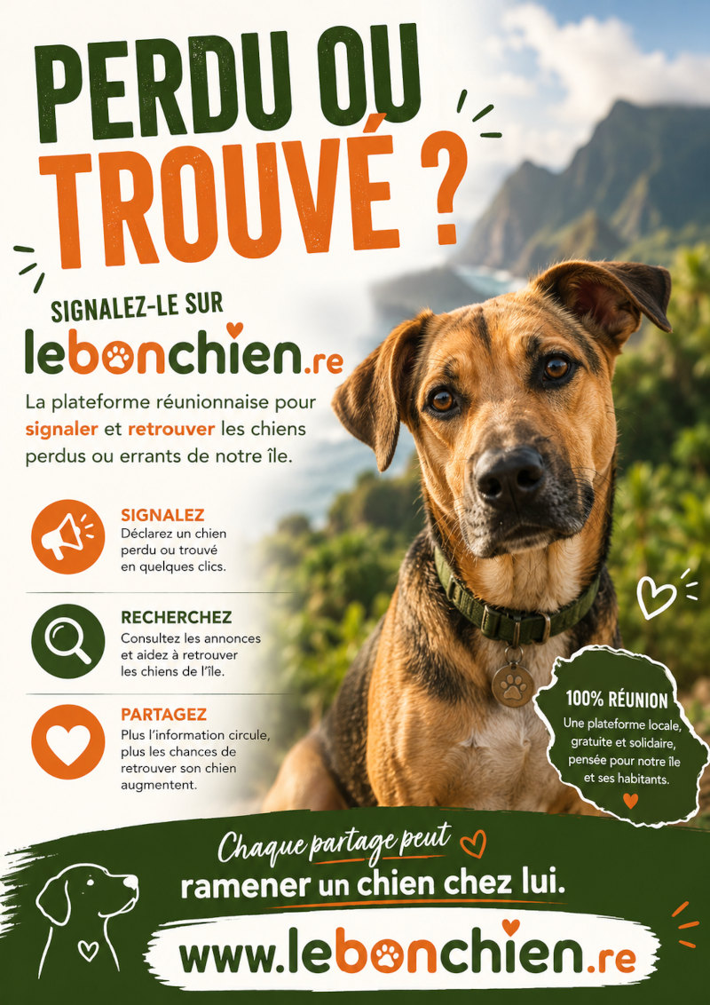 Affiche Le Bon Chien — Perdu ou trouvé ?